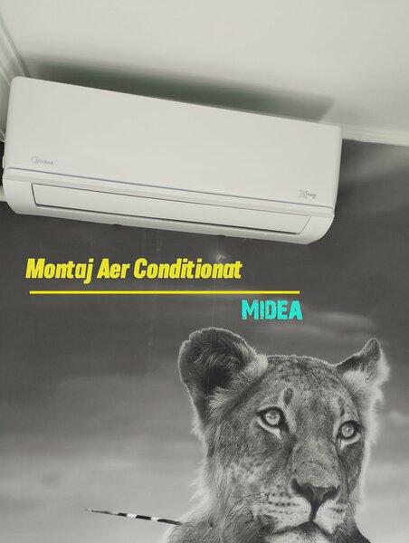 Zaleo Start - Curatare si igienizare aer conditionat